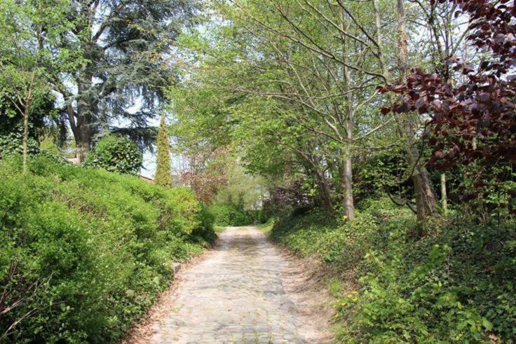 فيلا Casa Terlinden بروكسل المظهر الخارجي الصورة